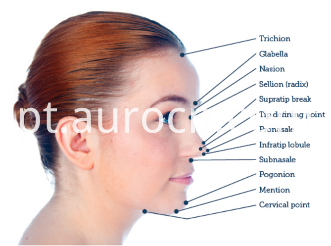 preenchimento do nariz nose filler